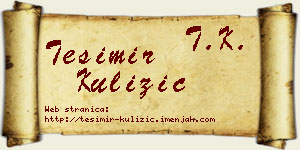 Tešimir Kulizić vizit kartica